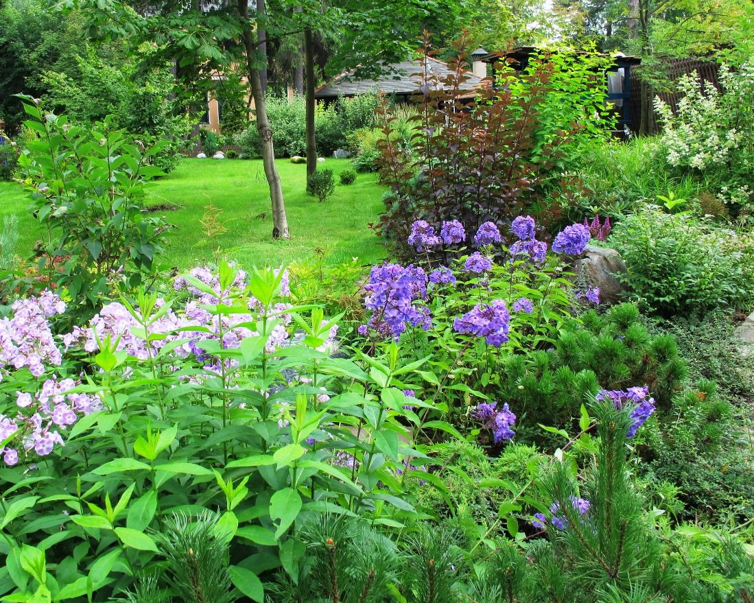 Проект Переделкино